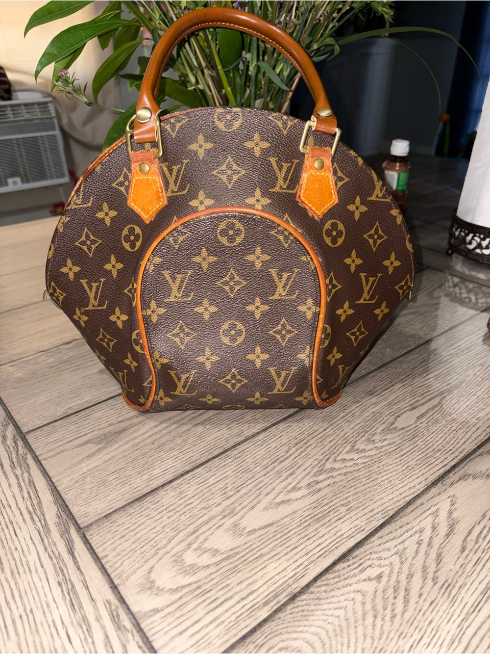 Louis Vuitton HandBag